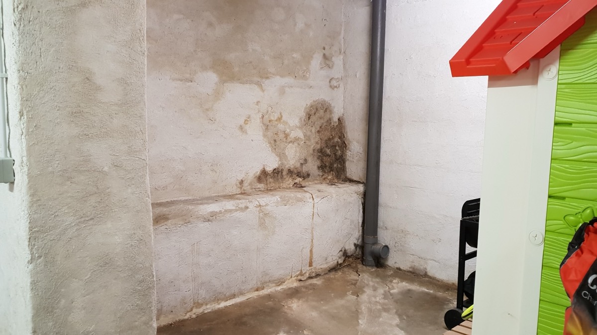 Infiltrations d'eau - Expertise humidité à Mont-de-Marsan